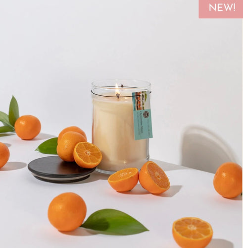 Large BW Candle - Clementine Shine