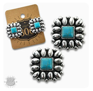 Western Silver & Stone Earrings