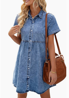 Living My Best Life Denim Dress